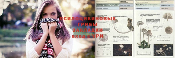 дурь Абаза