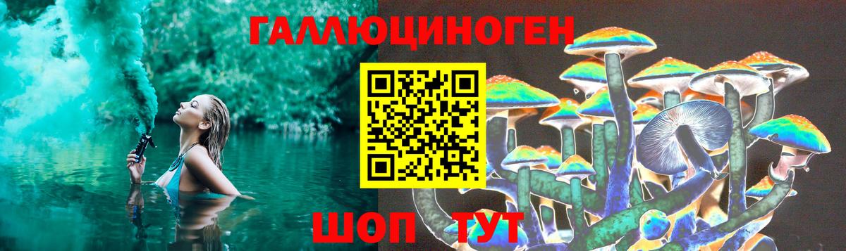 Назрань  Галлюциногенные грибы Psilocybine cubensis  Вход с VPN 
