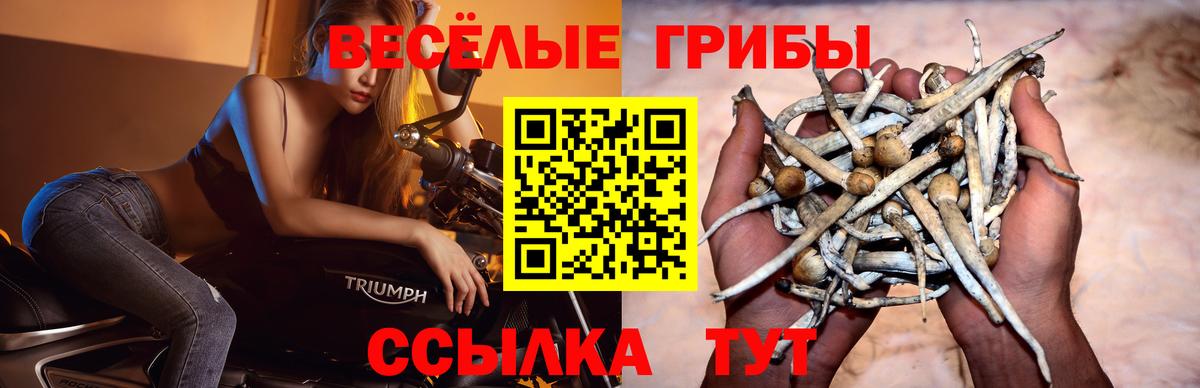 Псилоцибиновые грибы мицелий Назрань